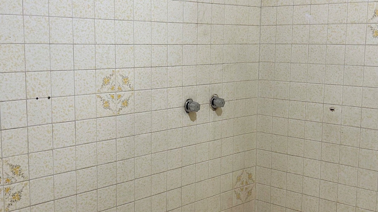 Photo of Bathroom in Coyoacan