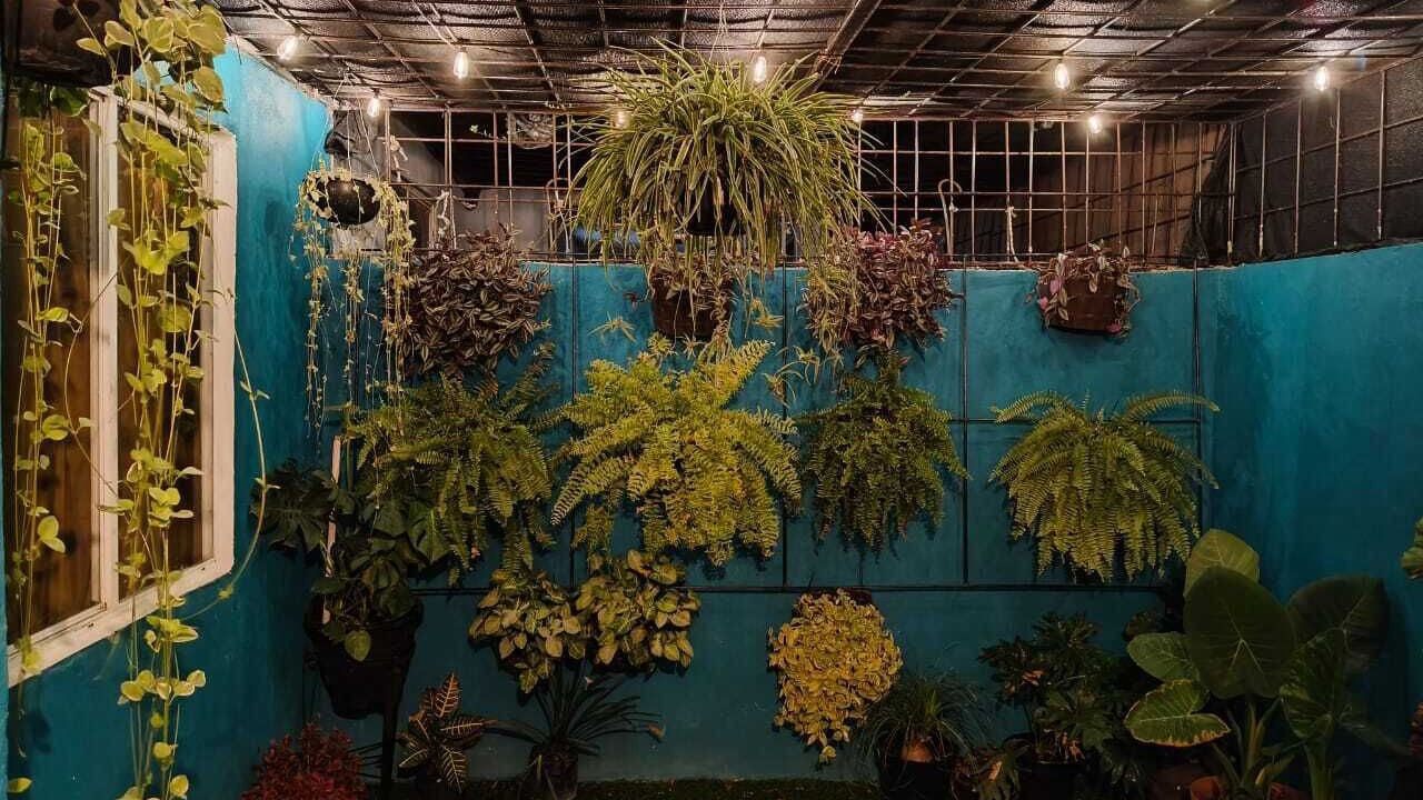 Photo of Outdoor in Tlajomulco de Zuniga