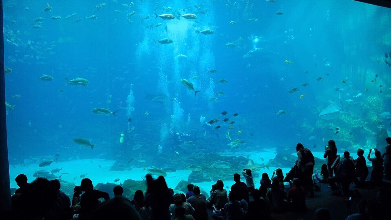 Photo of Others in Home Park