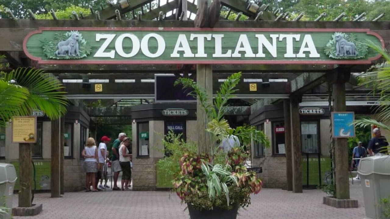Photo of Others in Atlantic Station Area