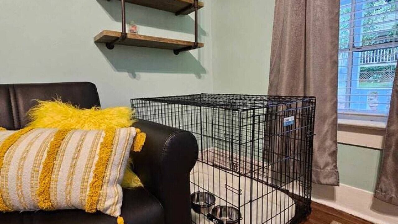 Photo of Livingroom in Cabbagetown
