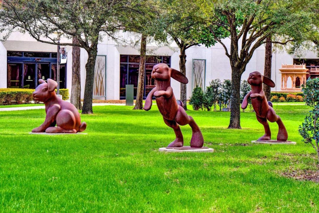 Photo of Others in Dallas